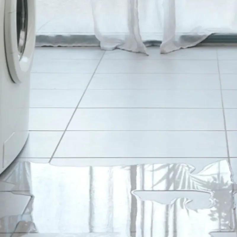 Appliance Leak Cleanup in Hinsdale, IL