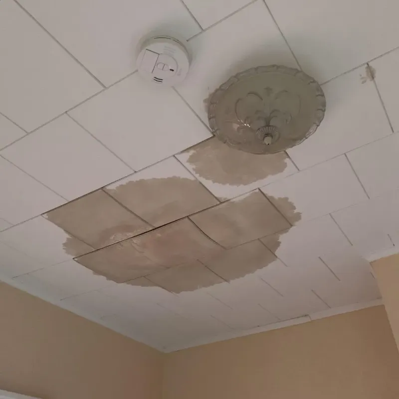 Ceiling Water Damage Repair in Hinsdale, IL
