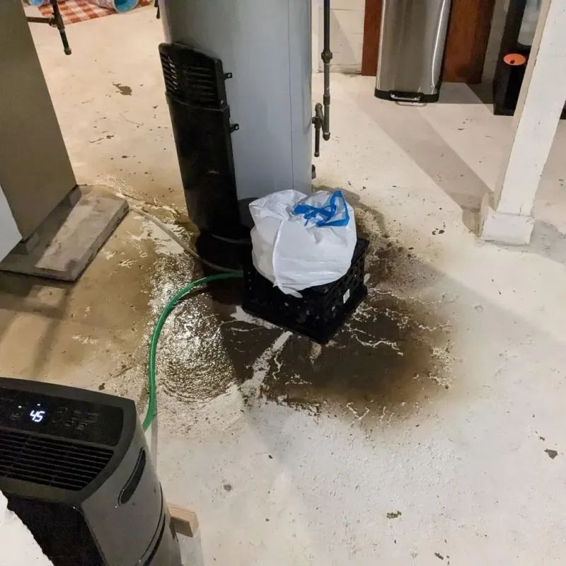 Sewage Backup Cleanup Service in Hinsdale, IL